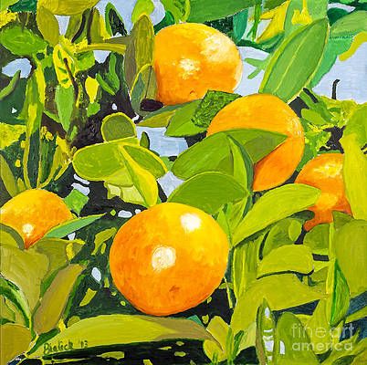 Florida Orange Grove Art – Fine Art America Throughout Latest Orange Grove Wall Art (View 13 of 20)