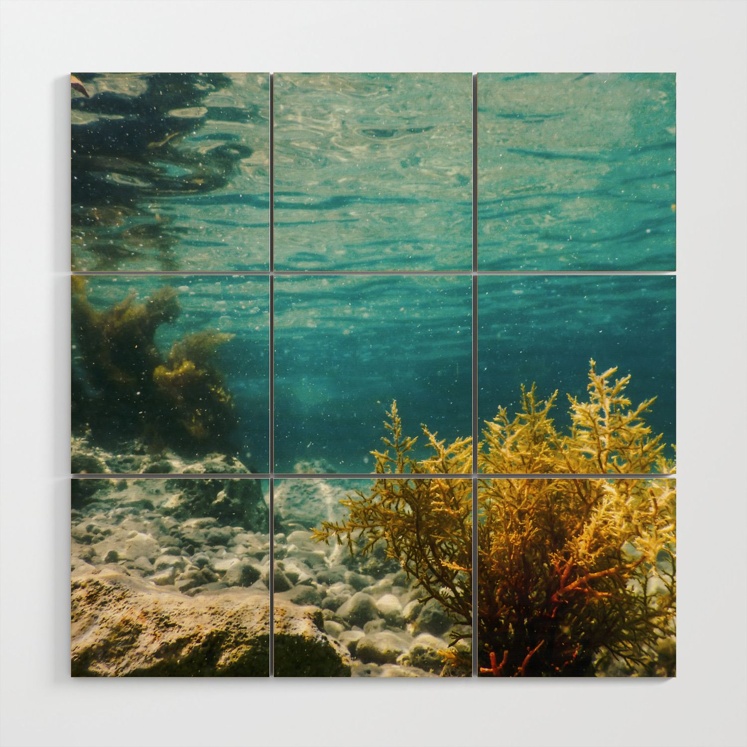 Forest Of Seaweed, Seaweed Underwater, Seaweed Shallow Water Near Surface Wood  Wall Artallexxandarx | Society6 With Most Up To Date Underwater Wood Wall Art (View 13 of 20)