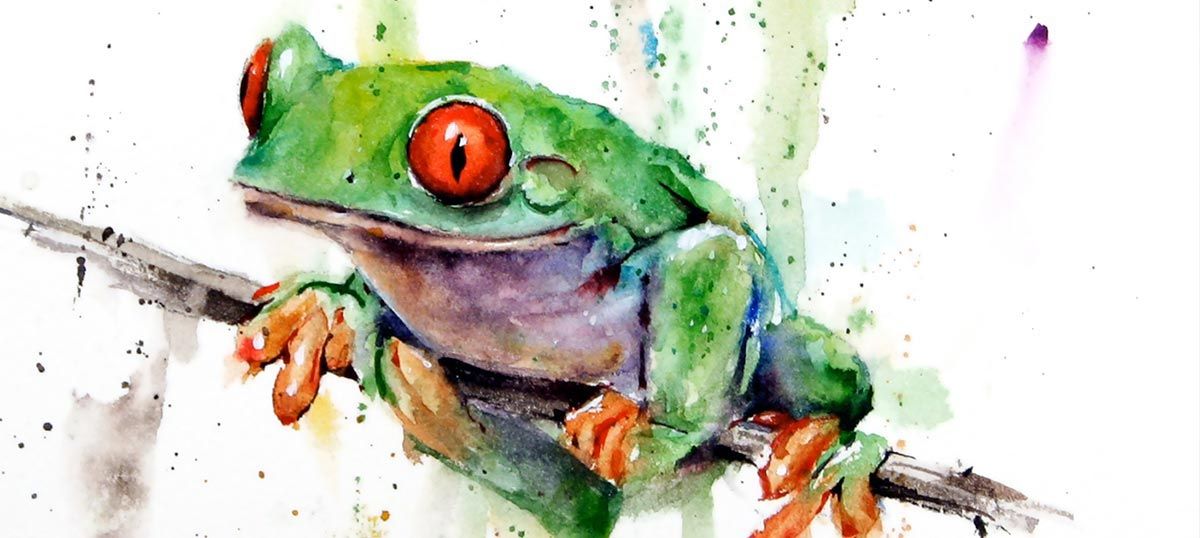 Frog Art: Canvas Prints & Wall Art | Icanvas Pertaining To Current Frog Wall Art (View 1 of 20)