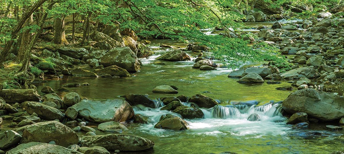 Great Smoky Mountain National Park: Canvas Prints & Wall Art With Best And Newest Smoky Mountain Wall Art (View 9 of 20)