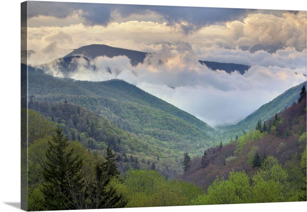 Great Smoky Mountains National Park, North Carolina Wall Art, Canvas  Prints, Framed Prints, Wall Peels | Great Big Canvas Pertaining To 2017 Smoky Mountain Wall Art (View 4 of 20)