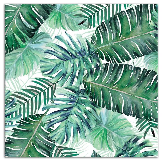 Green Palm Leaves 30x30 Canvas Wall Art – Tropical – Prints And Posters – Designs Direct | Houzz Intended For Best And Newest Tropical Leaves Wall Art (View 18 of 20)
