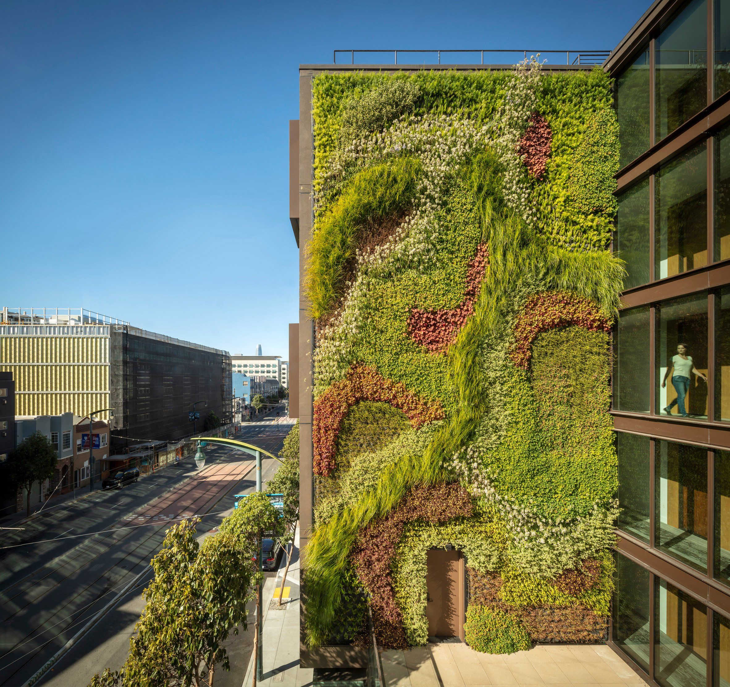 Green Wall Grows Five Storeys Up 2177 Third Street In San Francisco Inside Most Recent California Living Wall Art (View 5 of 20)
