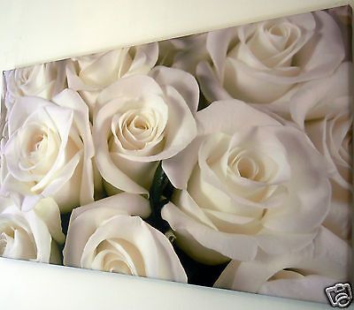 Ivory White Rose Canvas Print Wall Art Picture 18 X 32 Inch | Ebay Pertaining To Most Recently Released Roses Wall Art (View 5 of 20)