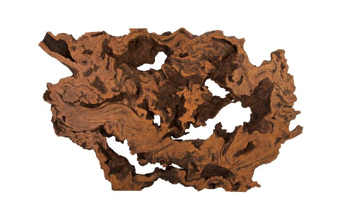 Large Brown Burled Root Wall Art Intended For Best And Newest Roots Wood Wall Art (View 8 of 20)