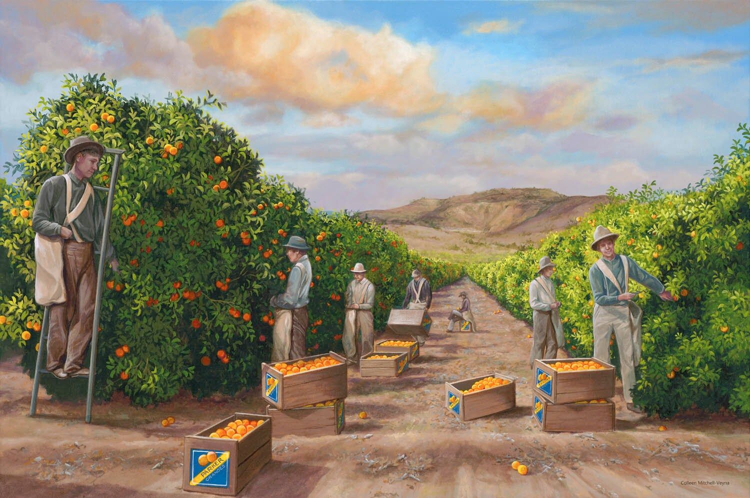 Orange Grove Art – Etsy With Regard To Recent Orange Grove Wall Art (View 20 of 20)