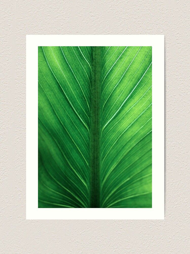Palm Leaf Wall Art, Tropical Leaf Prints, Printable Leaf, Green Leaf Print, Tropical  Leaves Art, Palm Leaf Print, Palm Prints, Poster Print" Art Print For Sale Alex Artprints | Redbubble Inside 2017 Tropical Leaves Wall Art (Gallery 20 of 20)