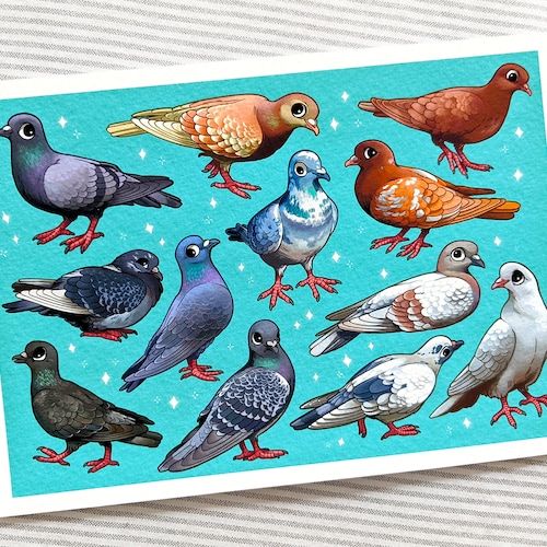 Pigeons Of The City A5 Fine Art Print / Bird Illustration / – Etsy Canada For 2017 Pigeon Wall Art (View 7 of 20)