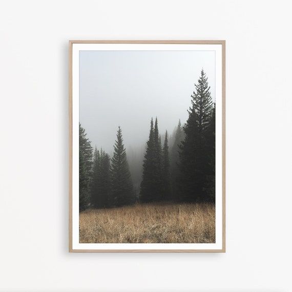 Pine Forest Print Pine Tree Art Forest Photo Farmhouse Print – Etsy Intended For 2018 Pine Forest Wall Art (View 9 of 20)
