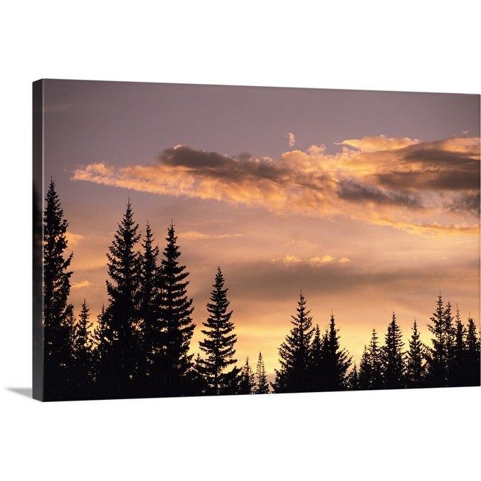 Pine Trees At Sunset" Canvas Wall Art – Overstock – 25509681 For Current Pine Forest Wall Art (View 12 of 20)