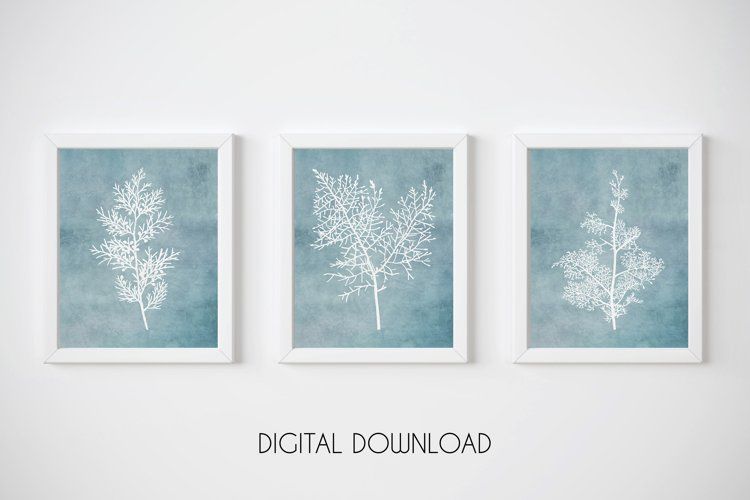 Set Of 3 Prints Botanical, Light Blue Wall Art, Plant Print With Regard To Most Recent Soft Blue Wall Art (View 6 of 20)