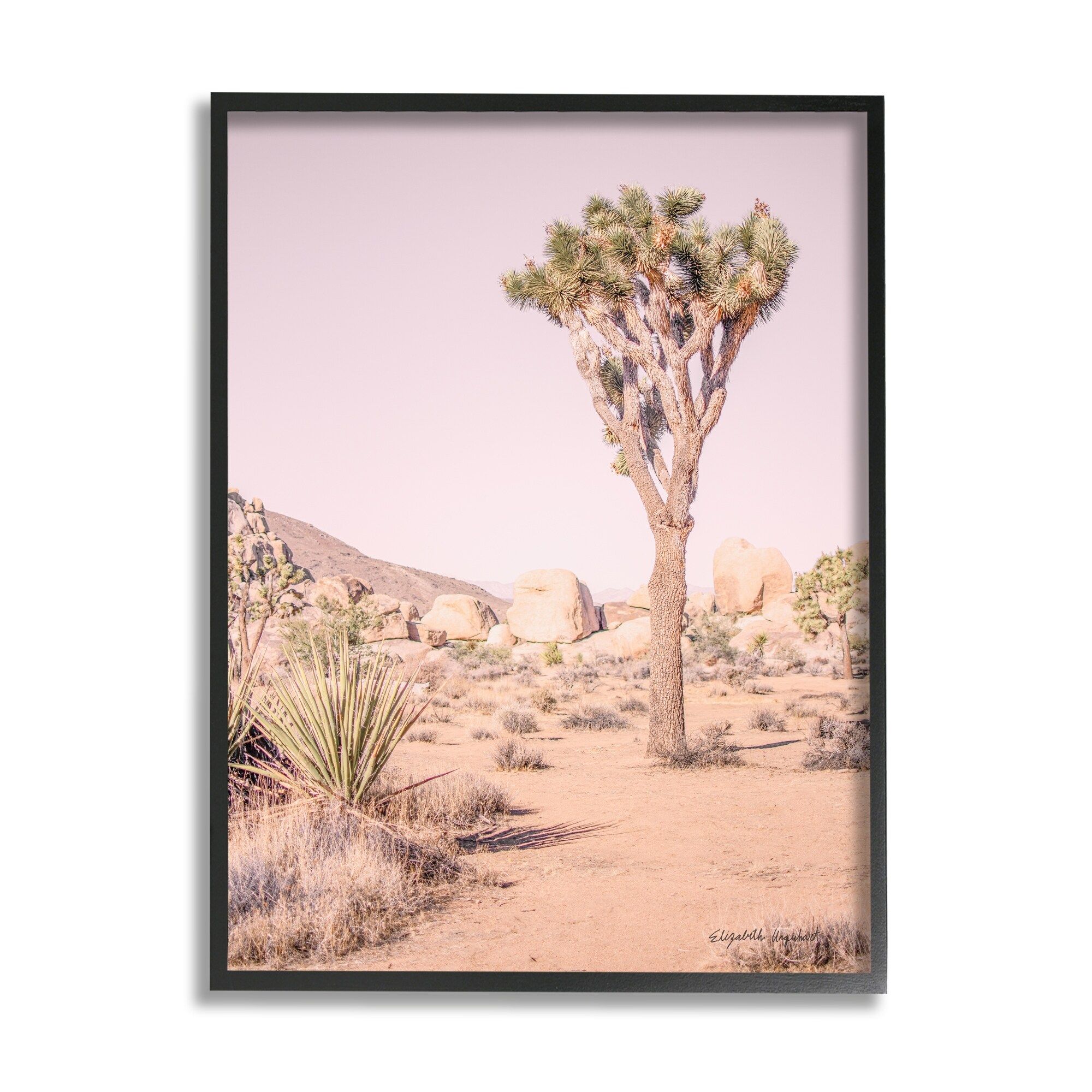 Stupell Industries Desert Tree And Agave Plant Sun Bleach Sky Framed Wall  Art – Pink – Overstock – 34172613 Intended For Most Up To Date Sun Desert Wall Art (View 14 of 20)