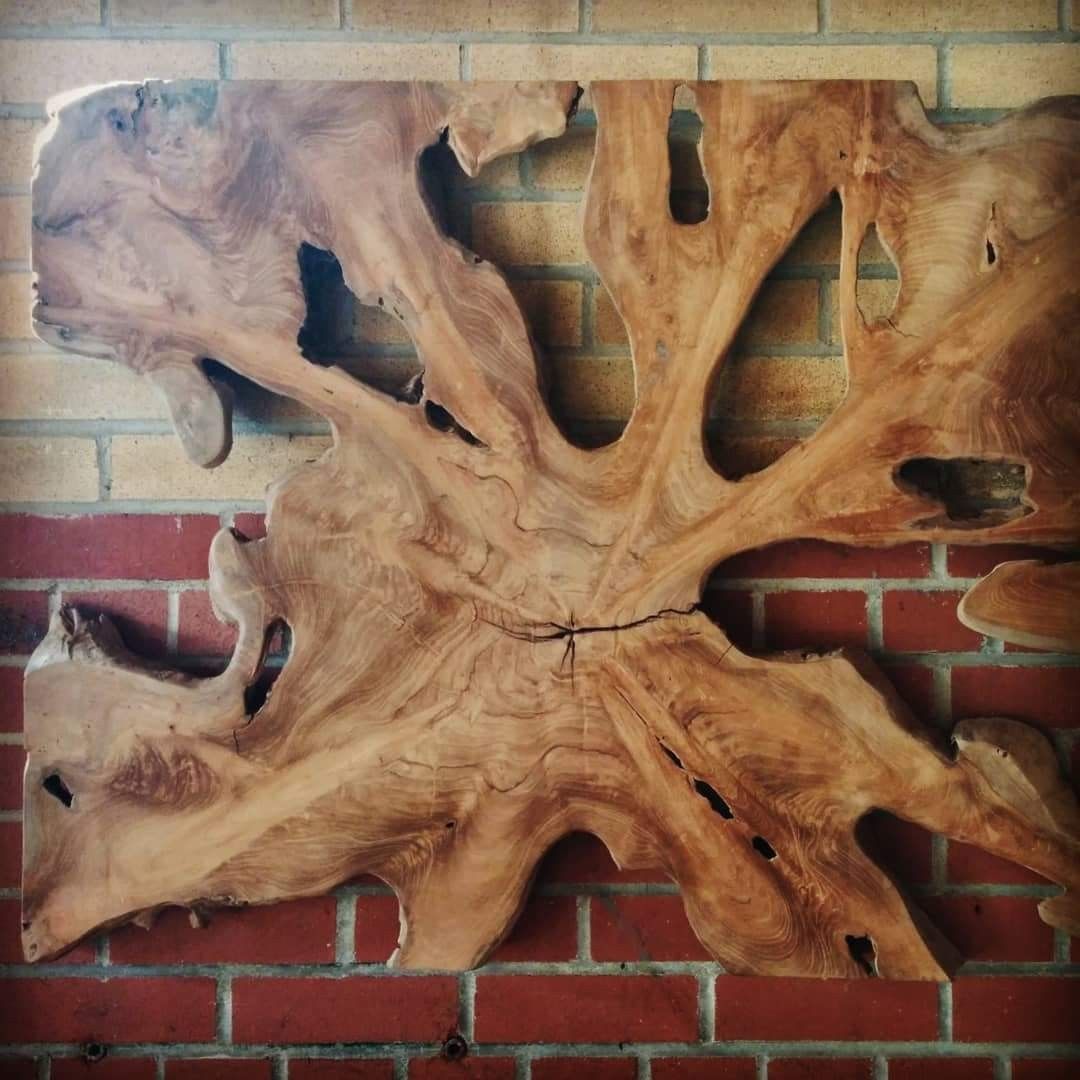 Teak Root Wall Art When Working With Salvaged Teak Roots The  Possibilities Are Endless? From End Tables And Coffee Tables, To Platters  And Bowls, The Organic… Regarding 2017 Roots Wood Wall Art (View 3 of 20)