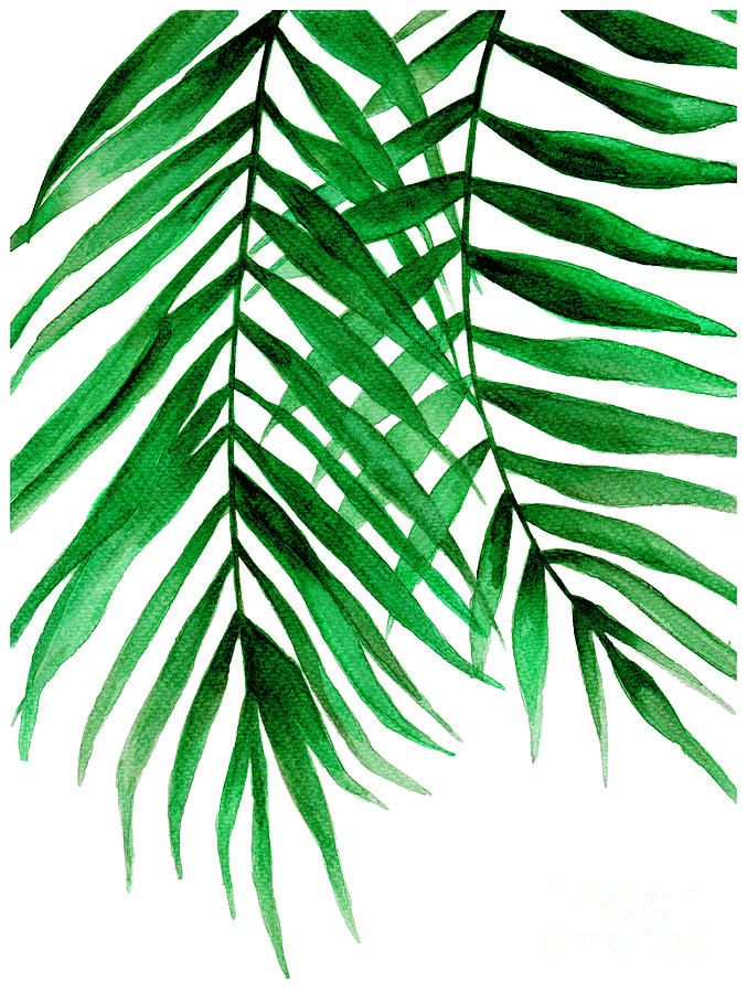 Tropical Leaf Ii Paintingpdfdecor Wall Art – Pixels Within Newest Tropical Leaves Wall Art (View 6 of 20)