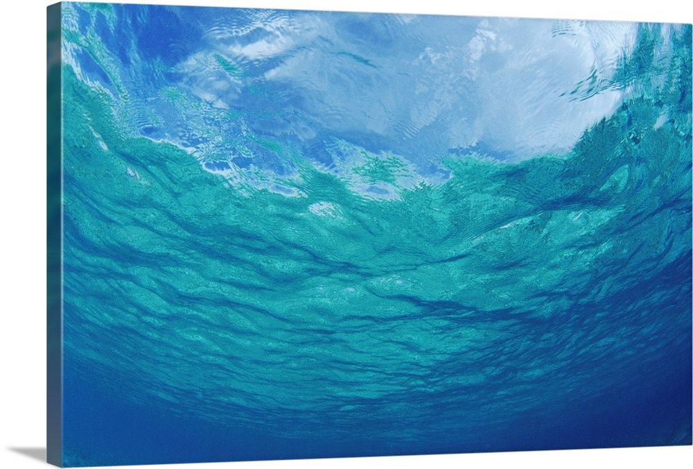 Underwater Ocean Looking Upward To Surface, Blue Sky Reflection Wall Art,  Canvas Prints, Framed Prints, Wall Peels | Great Big Canvas For Most Popular Underwater Wall Art (View 14 of 20)