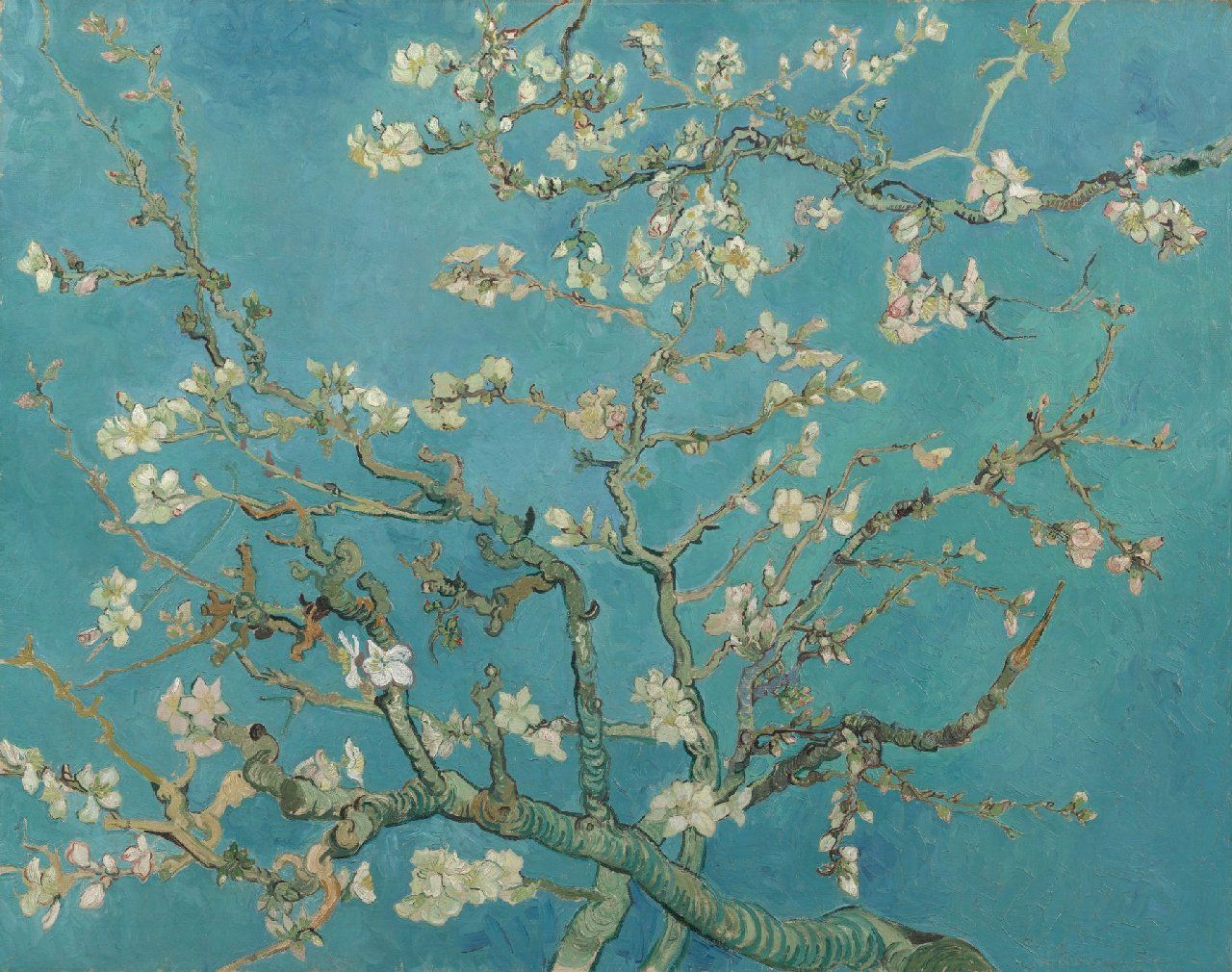 Vincent Van Gogh – Almond Blossom – Van Gogh Museum For Recent Almond Blossoms Wall Art (View 1 of 20)