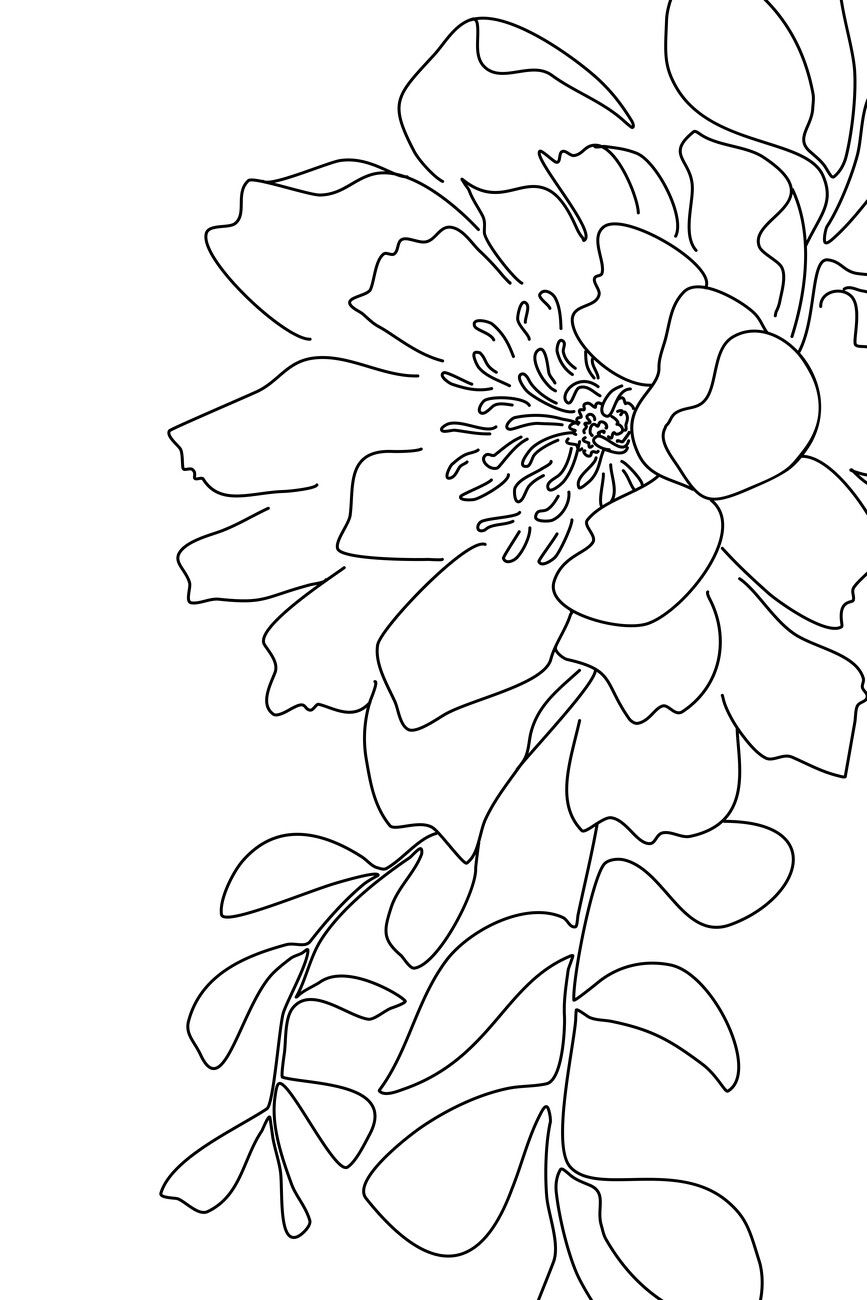 Wall Art Print | Floral Line Art | Europosters Intended For Most Current Floral Illustration Wall Art (View 10 of 20)