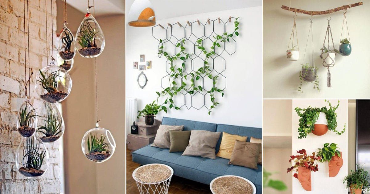 32 Wall Hanging Plant Decor Ideas | Balcony Garden Web With Latest Wall Hanging Decorations (Gallery 10 of 20)