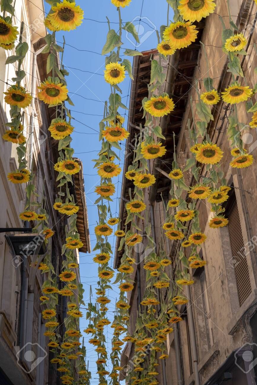 Beautiful Artistic Decorations Sunflower Flowers Hanging On The Street  Stock Photo, Picture And Royalty Free Image. Image 129574410. Regarding 2017 Hanging Sunflower (Gallery 4 of 20)