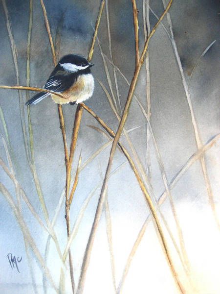 Bird On Branch Paintings For Sale | Fine Art America In Latest Bird On Tree Branch Wall Art (View 19 of 20)