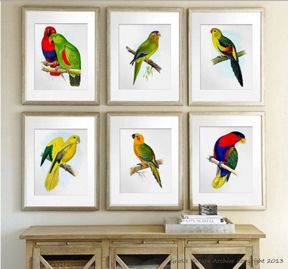 Birds Art Set Of 6 Parrots Art Red Yellow Green Colorful – Etsy | Bird Wall  Art, Wall Art Decor, Bird Prints Regarding Most Current Parrot Tropical Wall Art (View 11 of 20)