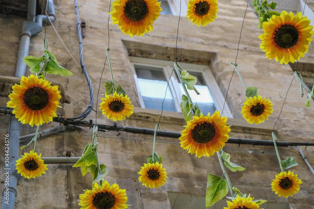 Bright Sunflowers Hang Down On The Backgrof The House. Avignon Street  Decoration. Provence Tourism. Stock Photo | Adobe Stock Within Most Popular Hanging Sunflower (Gallery 8 of 20)