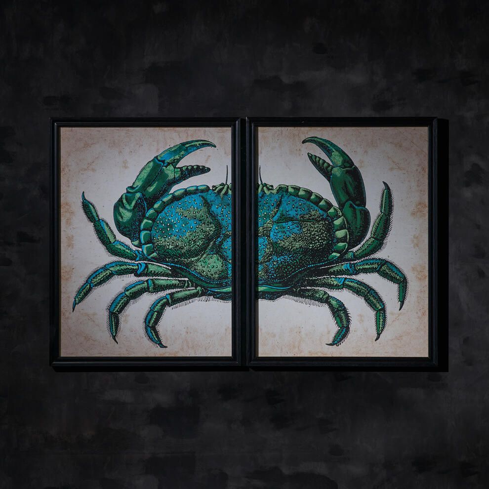Crab Wall Art – Timothy Oulton – Timothy Oulton With Regard To Most Current Crab Wall Art (View 19 of 20)