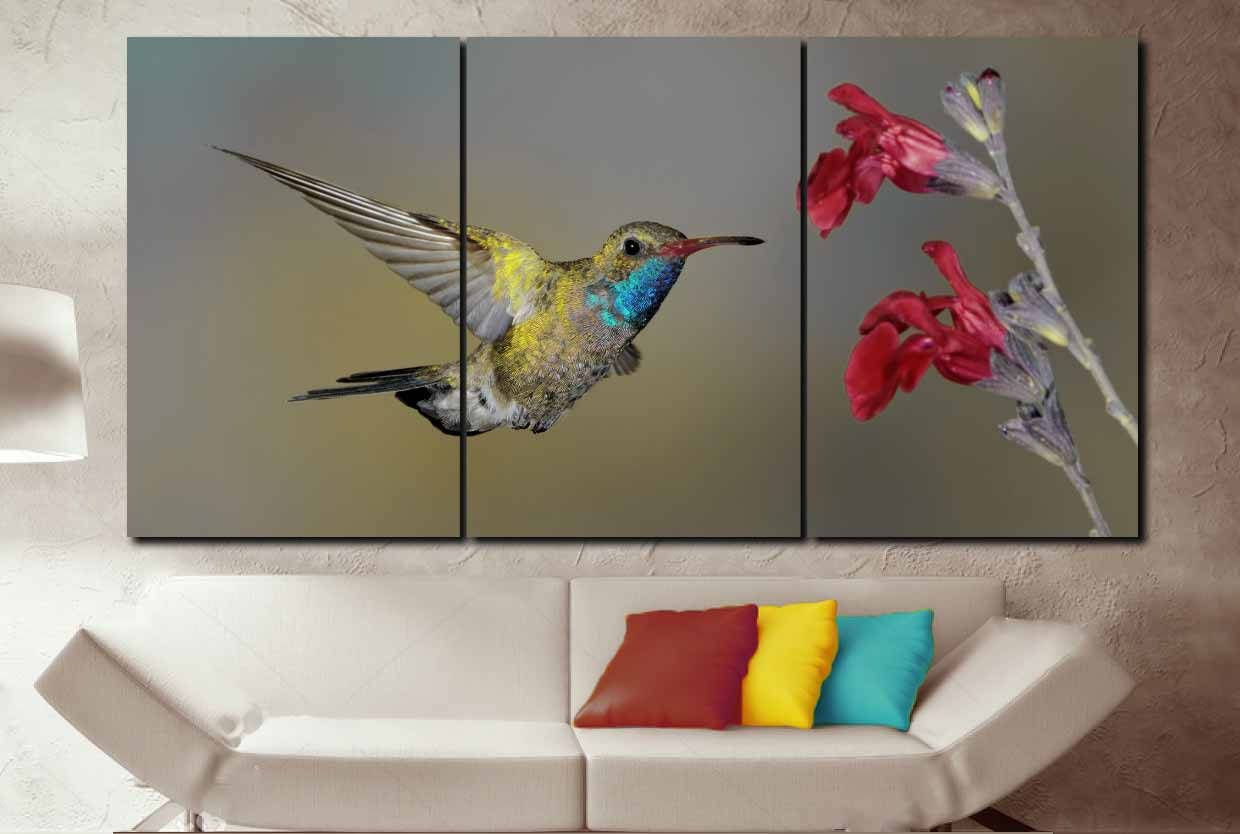Hummingbird Art,hummingbird Wall Art,male Broad Billed Hummingbird Art  Print,hummingbird Canvas Art,hummingbird Wall Decor,hummingbird Print Inside Best And Newest Hummingbird Wall Art (View 20 of 20)