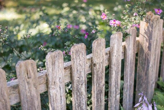 Old Rugged Fence Wall Prints Photo Rustic Home Decor – Etsy Pertaining To 2017 Bathroom Bedroom Fence Wall Art (Gallery 6 of 20)