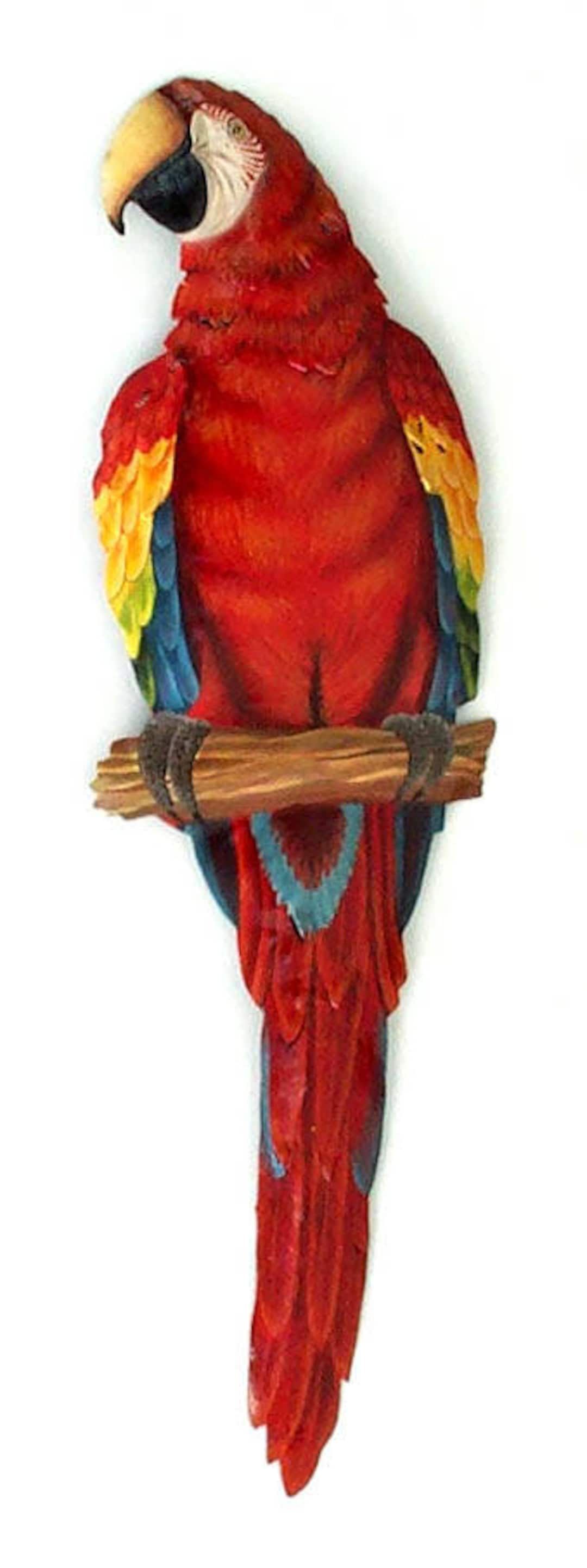 Scarlet Macaw Parrot Parrot Art Tropical Decor Painted – Etsy Israel In 2018 Bird Macaw Wall Sculpture (View 7 of 20)