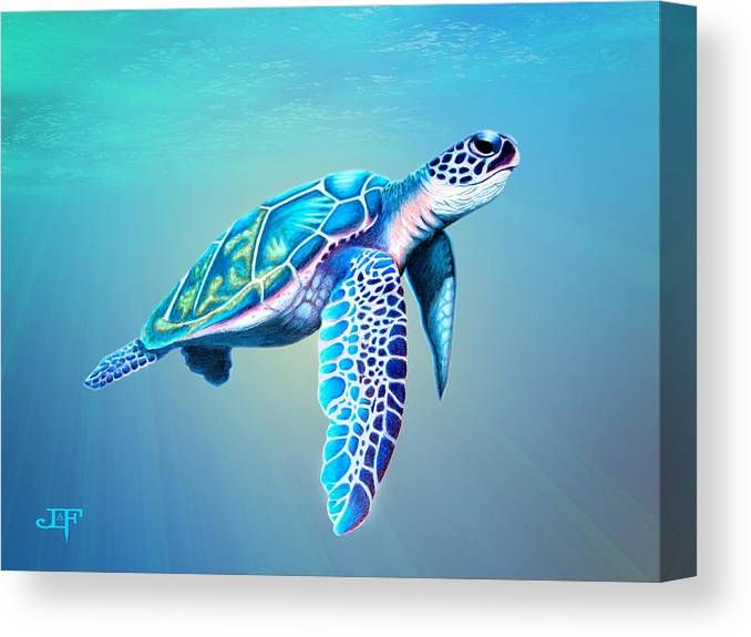 Sea Turtle Canvas Print / Canvas Artjessica Olson Lafree – Fine Art  America Throughout Recent Turtle Wall Art (View 14 of 20)