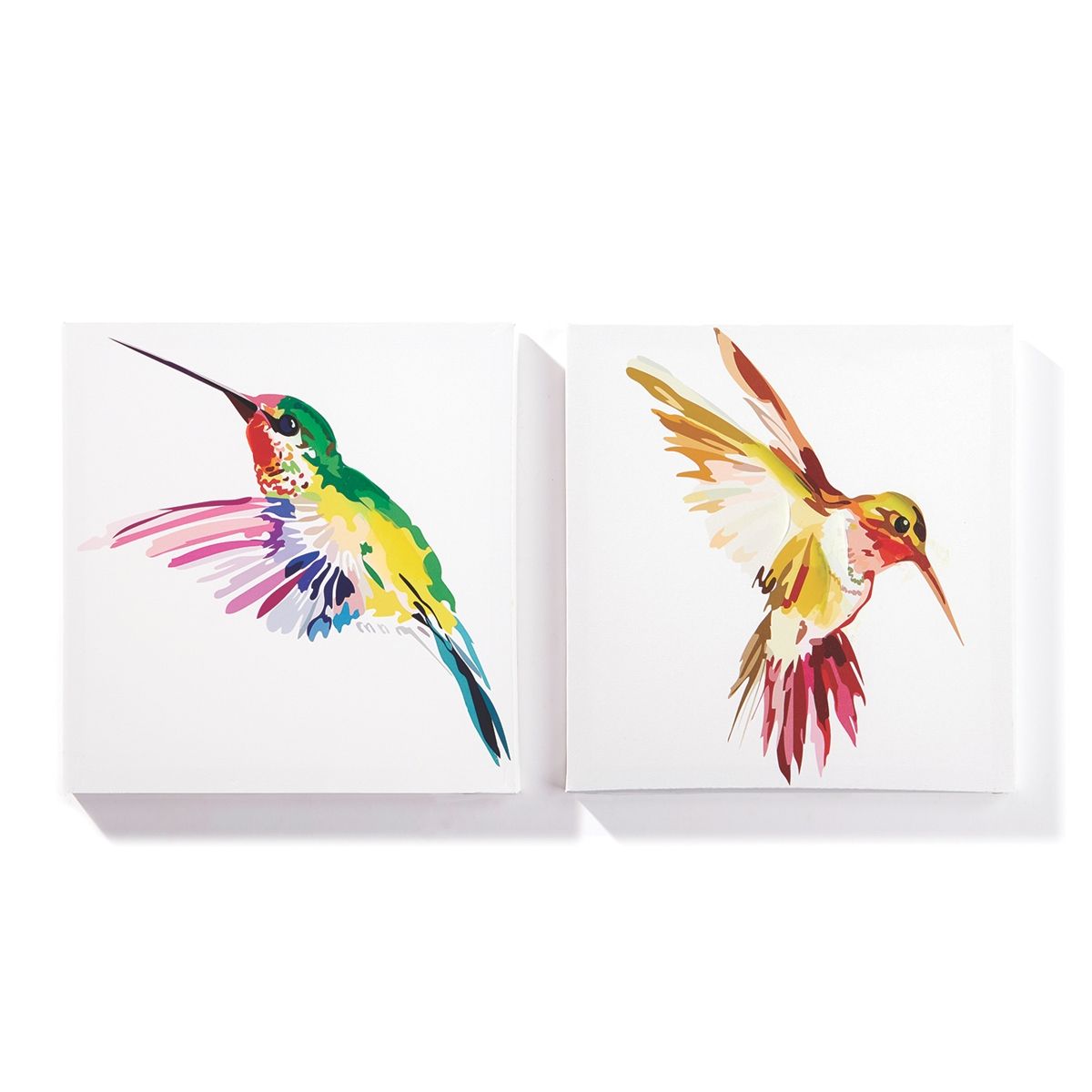 The National Wildlife Federation | With 2017 Hummingbird Wall Art (View 9 of 20)