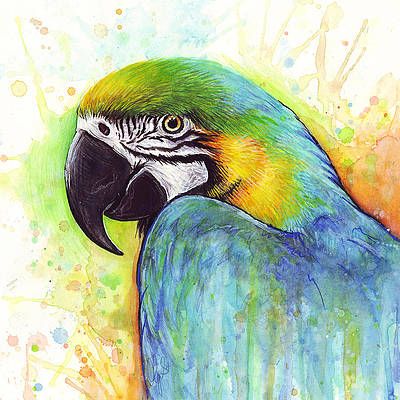 Tropical Bird Paintings For Sale | Fine Art America With Most Recently Released Parrot Tropical Wall Art (View 9 of 20)
