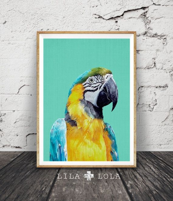 Tropical Bird Print Parrot Wall Art Bird Photography Macaw – Etsy With 2017 Parrot Tropical Wall Art (Gallery 1 of 20)
