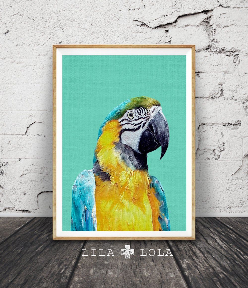 Tropical Bird Print Parrot Wall Art Bird Photography Macaw – Etsy With Most Popular Bird Macaw Wall Sculpture (Gallery 17 of 20)