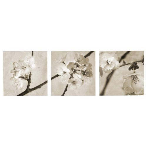 3 Piece Floral Canvas Wall Art (Photo 7 of 20)