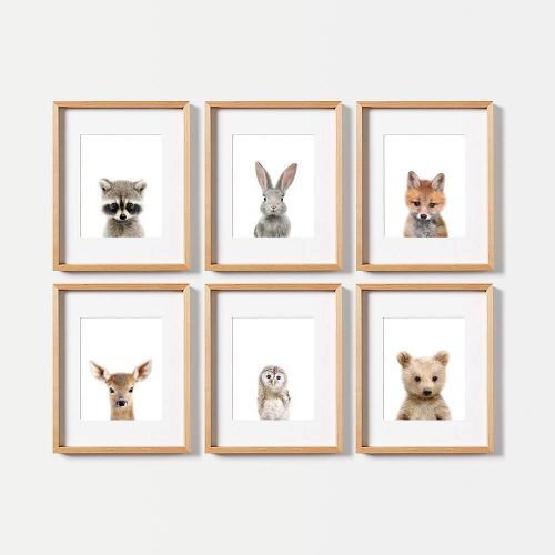 Framed Animal Art Prints (Photo 2 of 15)