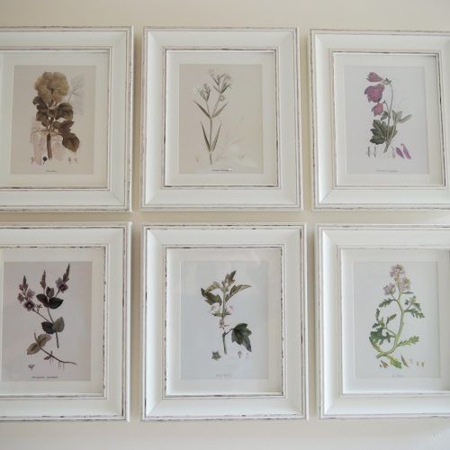 Framed Botanical Art Prints (Photo 12 of 15)