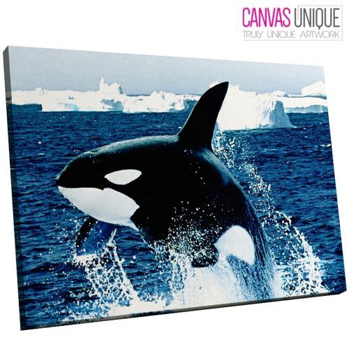 Whale Canvas Wall Art (Photo 14 of 20)