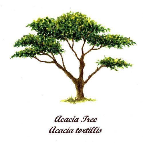 Acacia Tree Wall Art (Photo 17 of 20)