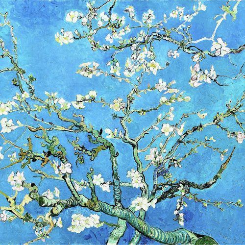 Almond Blossoms Wall Art (Photo 17 of 20)