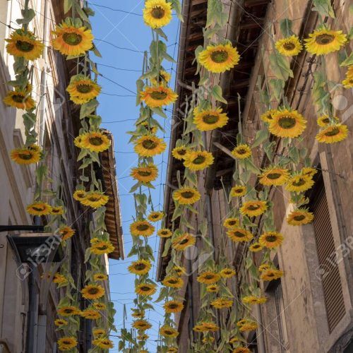 Hanging Sunflower (Photo 4 of 20)