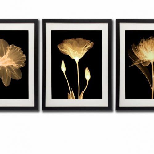 Flower Framed Art Prints (Photo 15 of 20)
