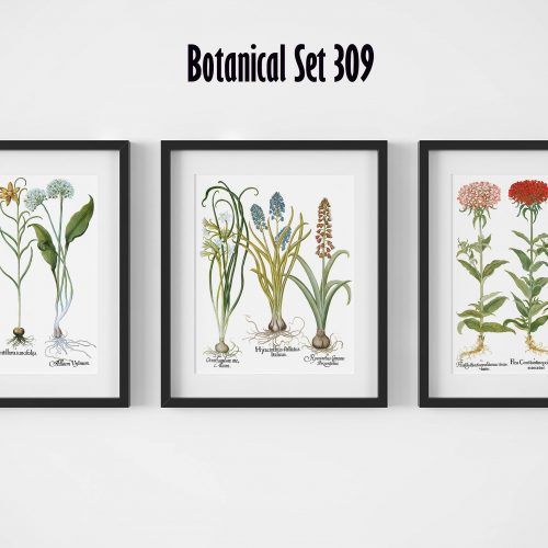 Framed Botanical Art Prints (Photo 5 of 15)