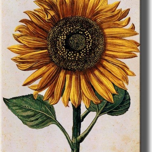 Sunflower Wall Art (Photo 7 of 20)