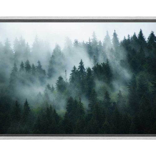 Misty Pines Wall Art (Photo 7 of 20)
