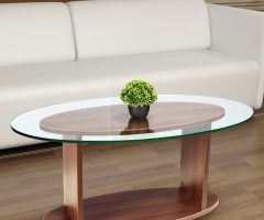 2024 Best of Oval Glass Coffee Tables