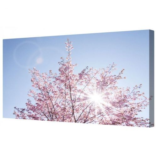 Cherry Blossom Wall Art (Photo 10 of 20)