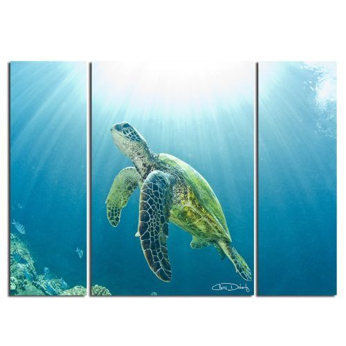 Sea Turtle Canvas Wall Art (Photo 10 of 20)