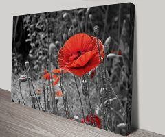 20 Best Collection of Red Poppy Canvas Wall Art